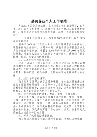 县贸易业个人工作总结