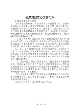 县煤炭监管办工作汇报