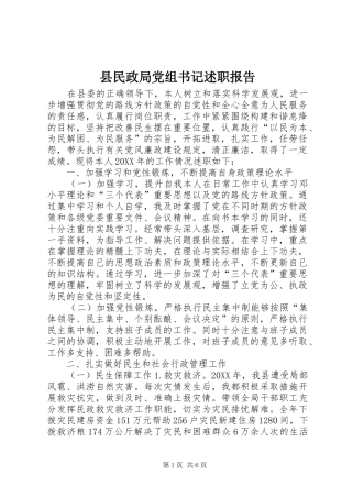 县民政局党组书记述职报告