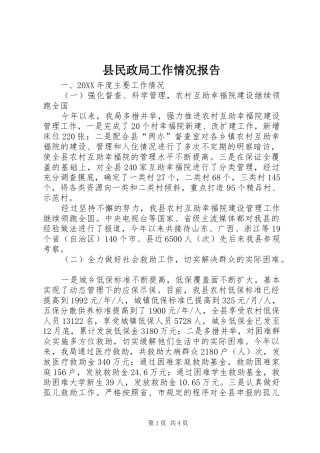 县民政局工作情况报告