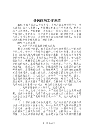 县民政局工作总结