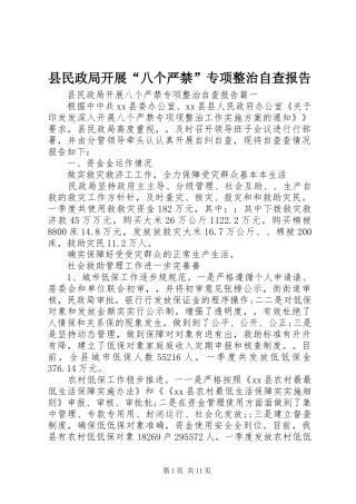 县民政局开展八个严禁专项整治自查报告