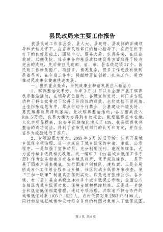 县民政局来主要工作报告