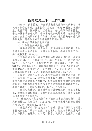 县民政局上半年工作汇报