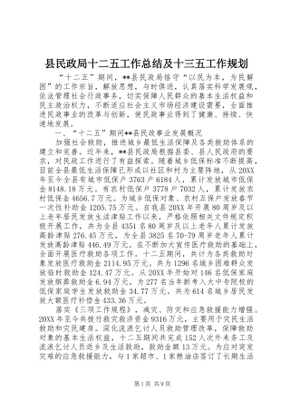 县民政局十二五工作总结及十三五工作规划
