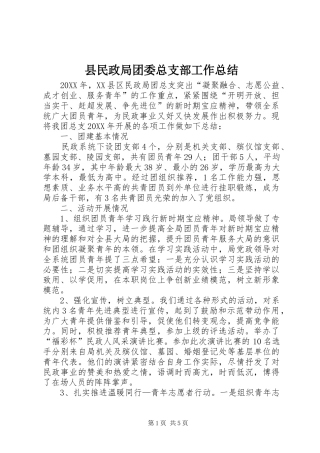 县民政局团委总支部工作总结