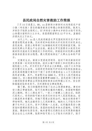 县民政局自然灾害救助工作简报