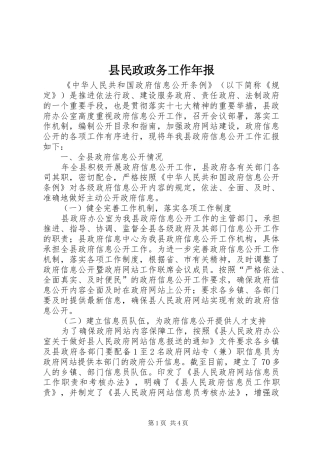 县民政政务工作年报