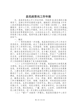 县民政资讯工作年报