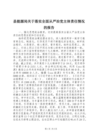 县能源局关于落实全面从严治党主体责任情况的报告