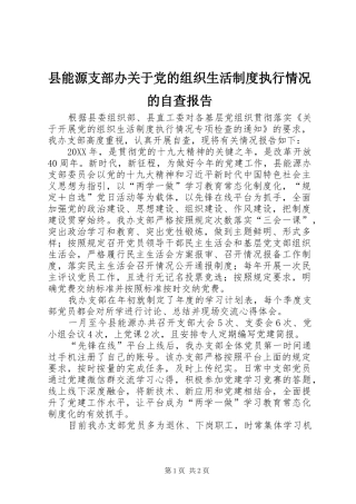 县能源支部办关于党的组织生活制度执行情况的自查报告