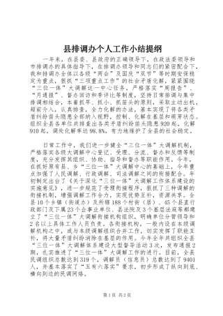 县排调办个人工作小结提纲