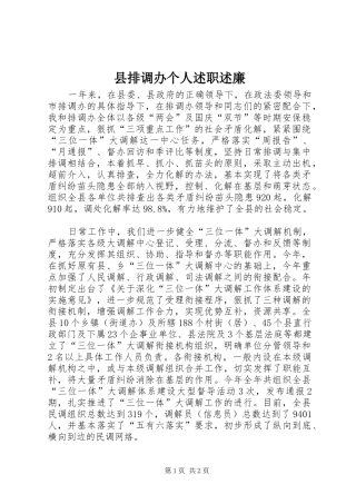 县排调办个人述职述廉