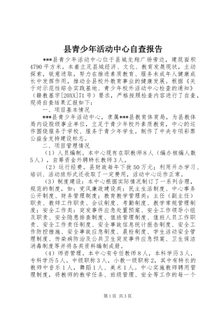 县青少年活动中心自查报告