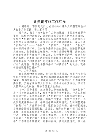 县扫黄打非工作汇报