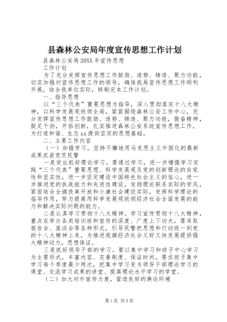 县森林公安局年度宣传思想工作计划