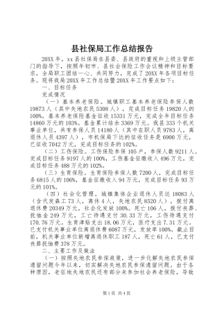 县社保局工作总结报告