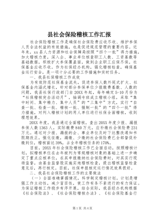 县社会保险稽核工作汇报