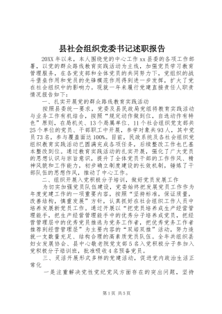 县社会组织党委书记述职报告