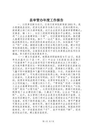 县审管办年度工作报告