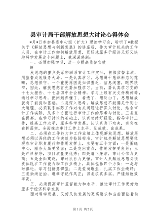 县审计局干部解放思想大讨论心得体会