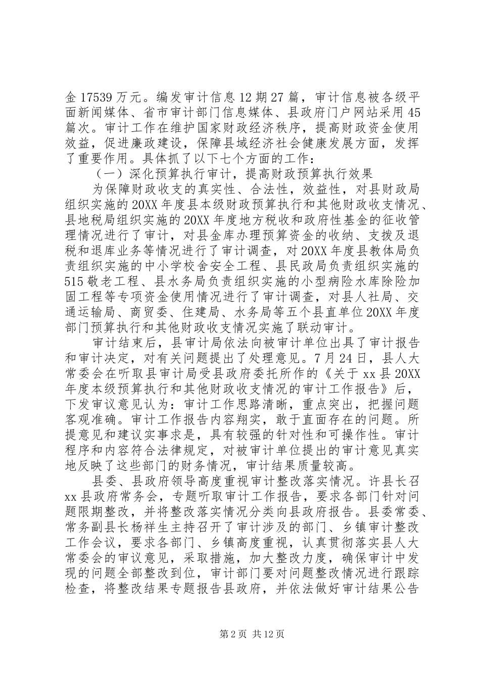 县审计局工作报告材料_第2页