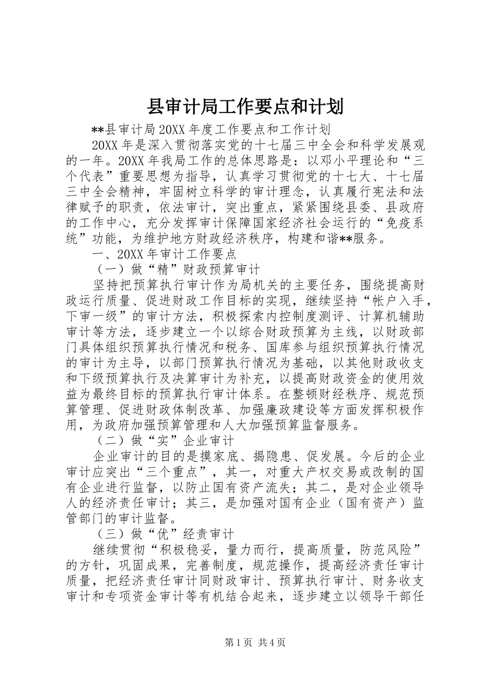 县审计局工作要点和计划_第1页