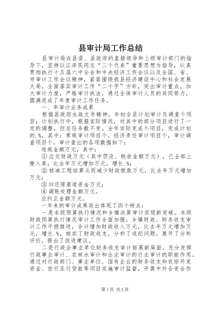 县审计局工作总结