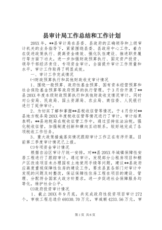 县审计局工作总结和工作计划