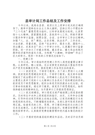 县审计局工作总结及工作安排