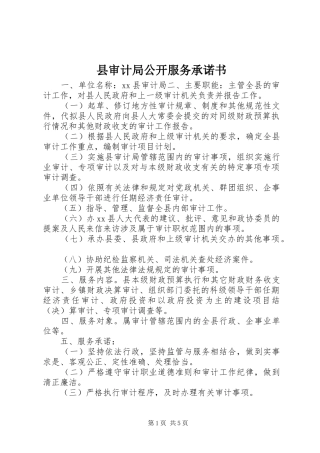 县审计局公开服务承诺书