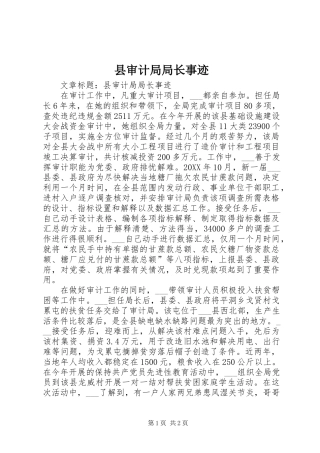 县审计局局长事迹
