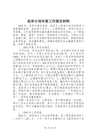 县审计局年度工作报告材料