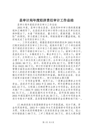 县审计局年度经济责任审计工作总结