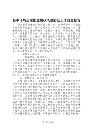 县审计局全面推进廉政风险防范工作自查报告