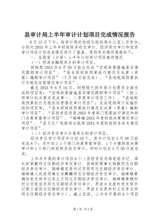 县审计局上半年审计计划项目完成情况报告
