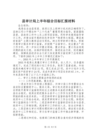 县审计局上半年综合目标汇报材料
