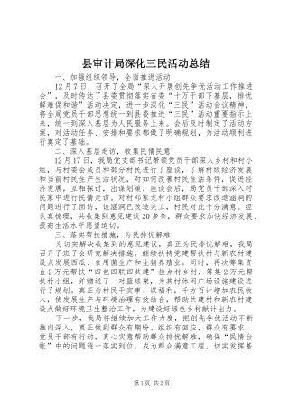 县审计局深化三民活动总结