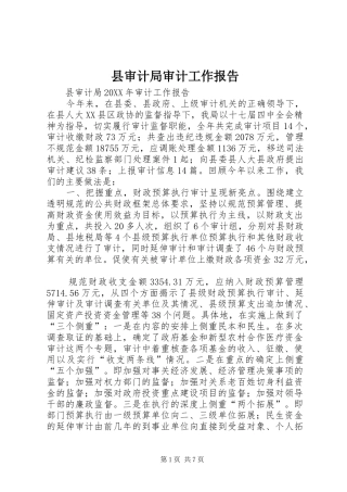 县审计局审计工作报告