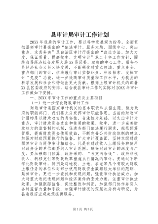 县审计局审计工作计划