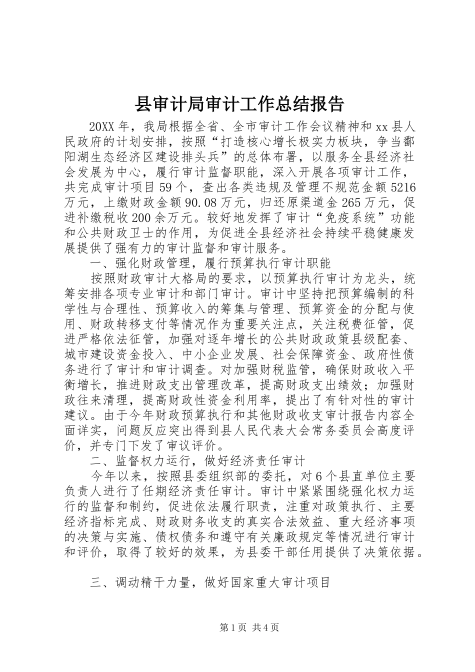 县审计局审计工作总结报告_第1页