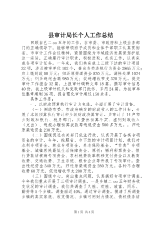 县审计局长个人工作总结