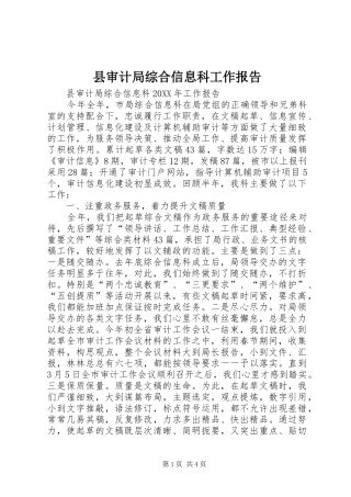 县审计局综合信息科工作报告
