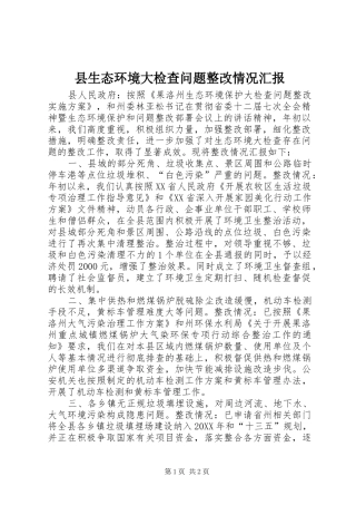 县生态环境大检查问题整改情况汇报