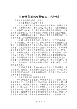 县食品药品监督管理局工作计划