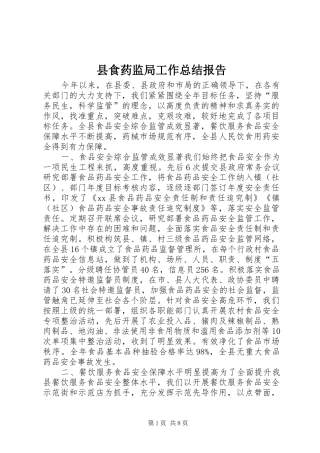 县食药监局工作总结报告