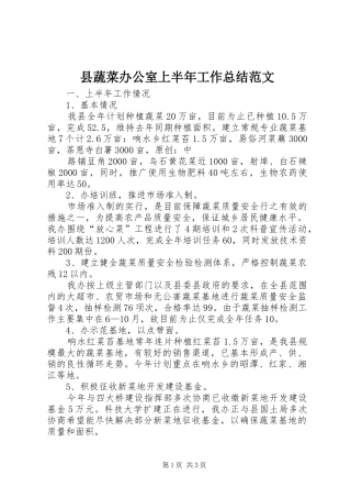 县蔬菜办公室上半年工作总结范文