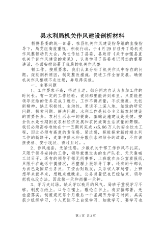 县水利局机关作风建设剖析材料