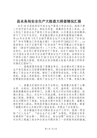 县水务局安全生产大检查大排查情况汇报