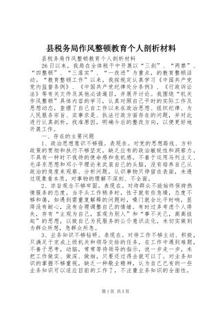 县税务局作风整顿教育个人剖析材料
